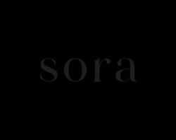Sora (D22), Apartment #558214311